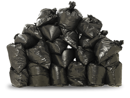 How to Safely Dispose of Yard Waste This Fall